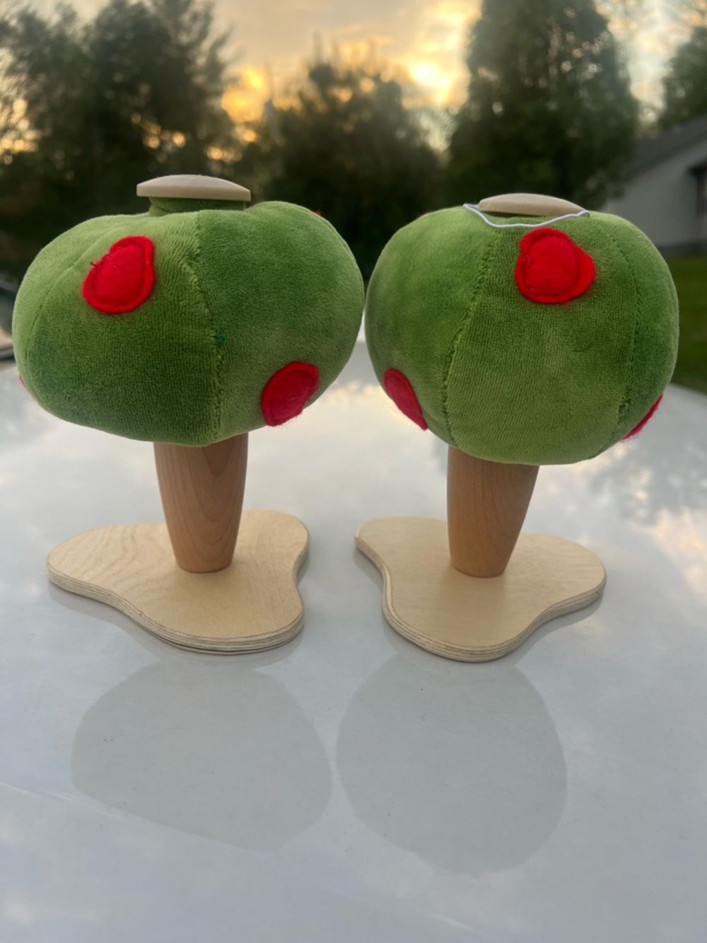 Pair of AnaMalz Barnfields Apple Trees